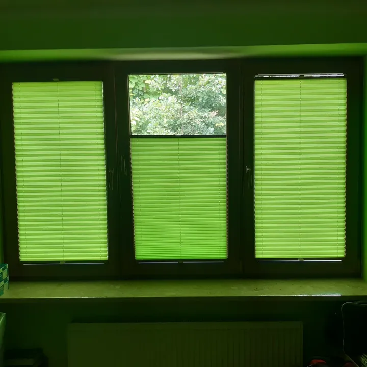 Zielone plisy okienne na oknie z widokiem na ogród